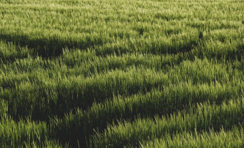 luisteren naar schaamte